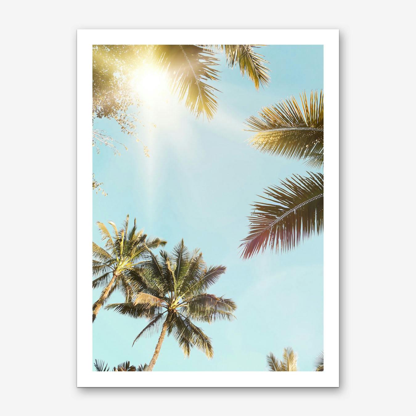 Palm Tree Art Prints and Posters | Free Tropical Chrysanthemum Pillow 32x32